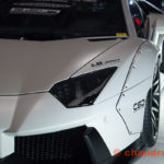 TOKYO AUTO SALON 2015 Part 6