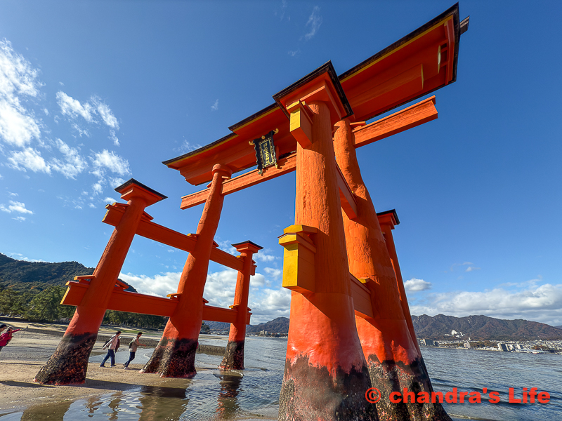 広島 8　宮島 千畳閣
