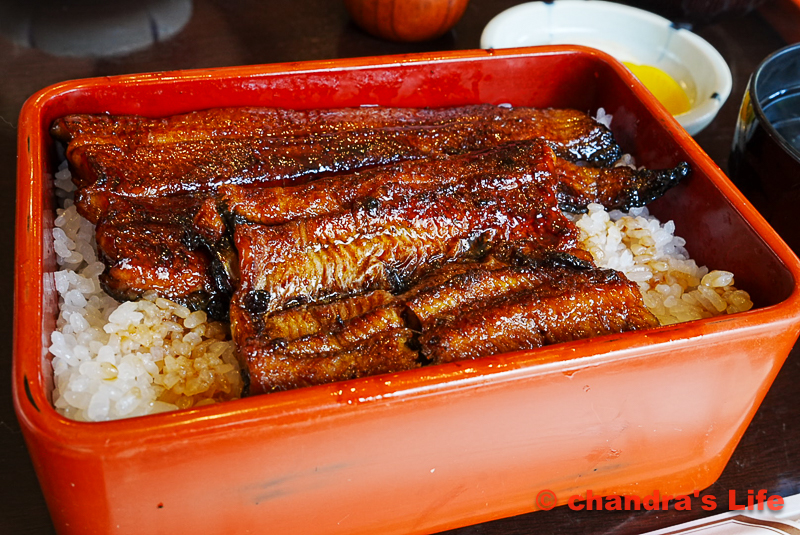 フェアフィールド宇都宮 5 日光 うなぎ 澤本かば焼店