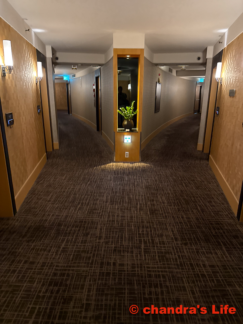 ソウル発券クローズ　 7 百済　参鶏湯　帰国